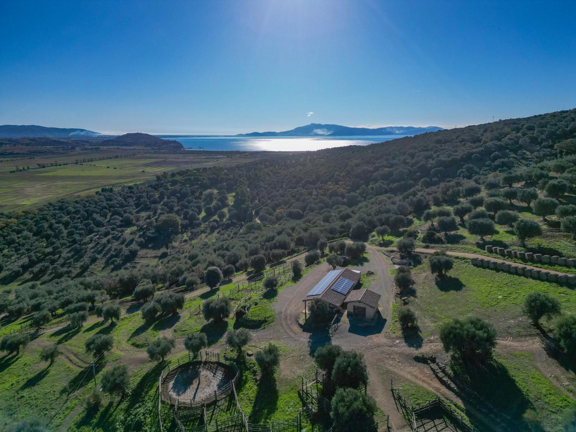 Agriturismo Buratta Fonteblanda Eksteriør billede