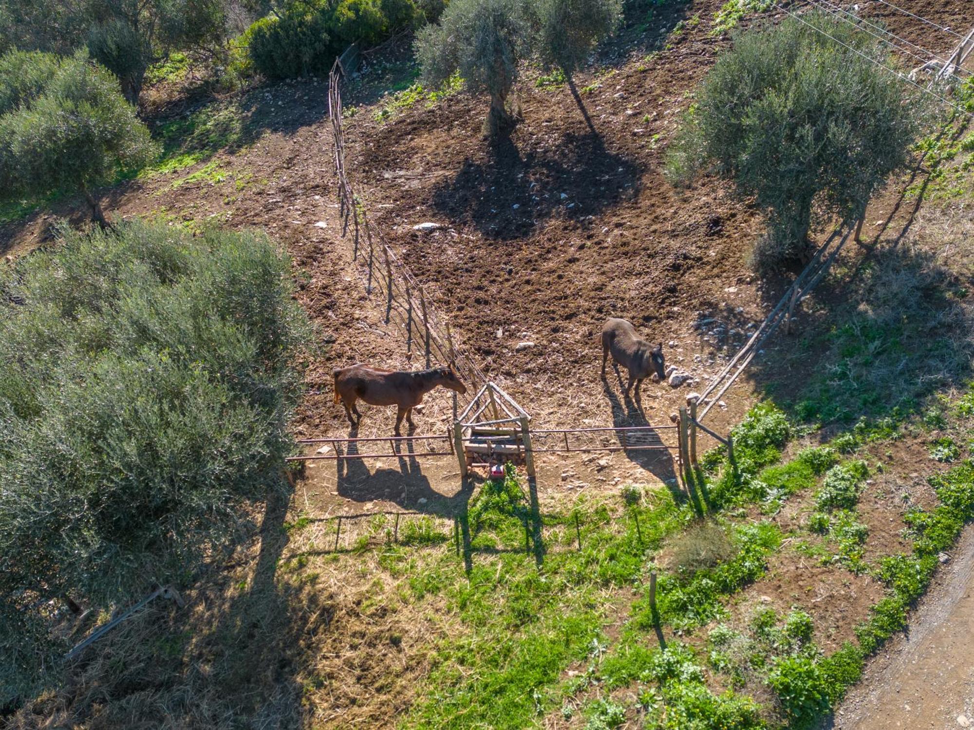 Agriturismo Buratta Fonteblanda Eksteriør billede